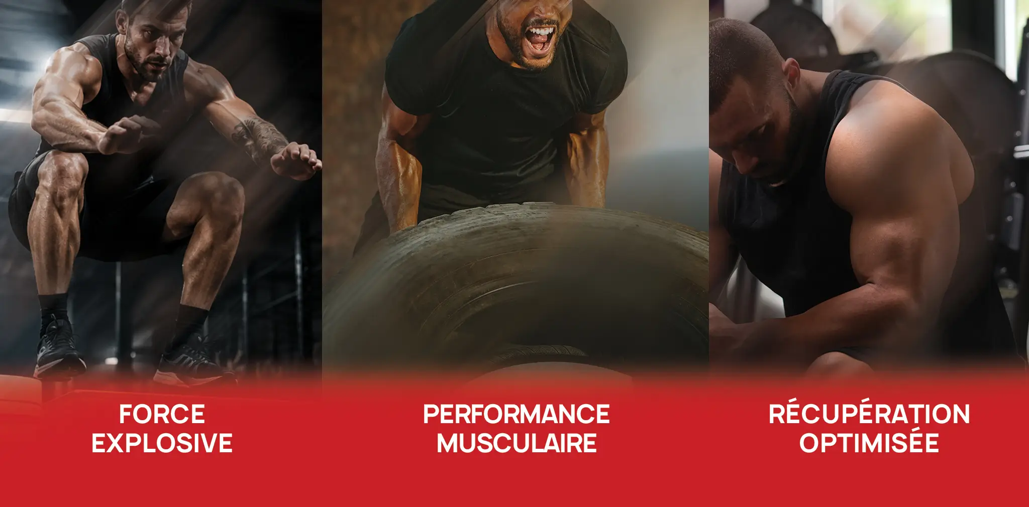 EF CLEAR CREATINE